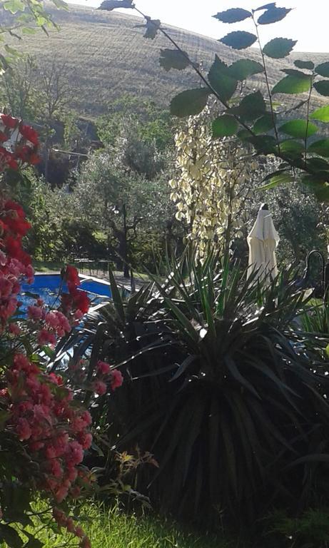 Vila Agriturismo La Solagna Montebello di Bertona Exteriér fotografie
