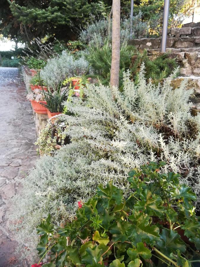 Vila Agriturismo La Solagna Montebello di Bertona Exteriér fotografie